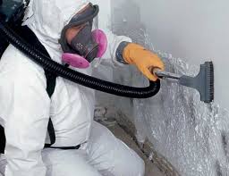 Best Mold Removal for HVAC Installations  in Reminderville, OH